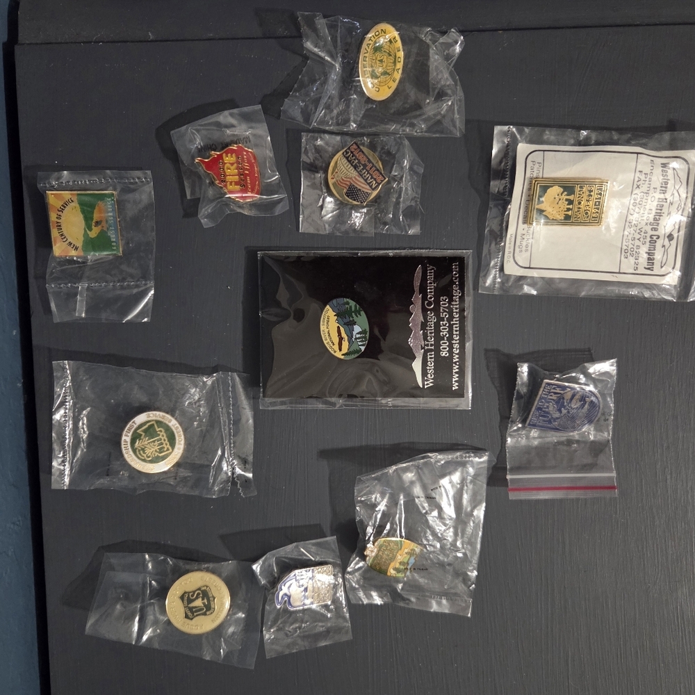 US Forest Service PINS. Lot of 11 Pins Still In Packaging.